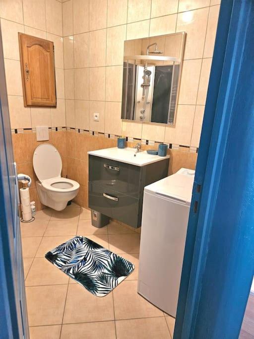 Spacieux Et Charmant Appartement De 47 M2 Charleville-Mezieres Bagian luar foto